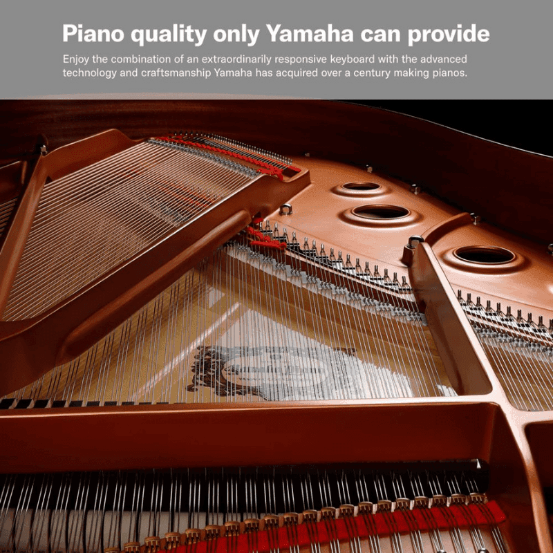 Yamaha P125 88-Key Weighted Action Digital Piano with Power Supply and Sustain Pedal (Black) - Image 3